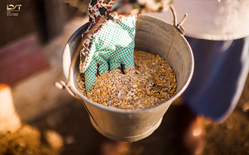 Điều kiện kinh doanh thức ăn chăn nuôi